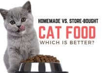 Homemade vs. Store-Bought Cat Food: Which Is Better? Homemade vs. Store-Bought Cat Food Which Is Better
