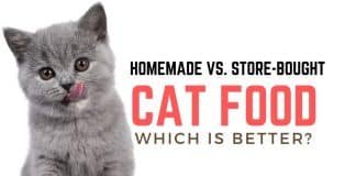 Homemade vs. Store-Bought Cat Food Which Is Better